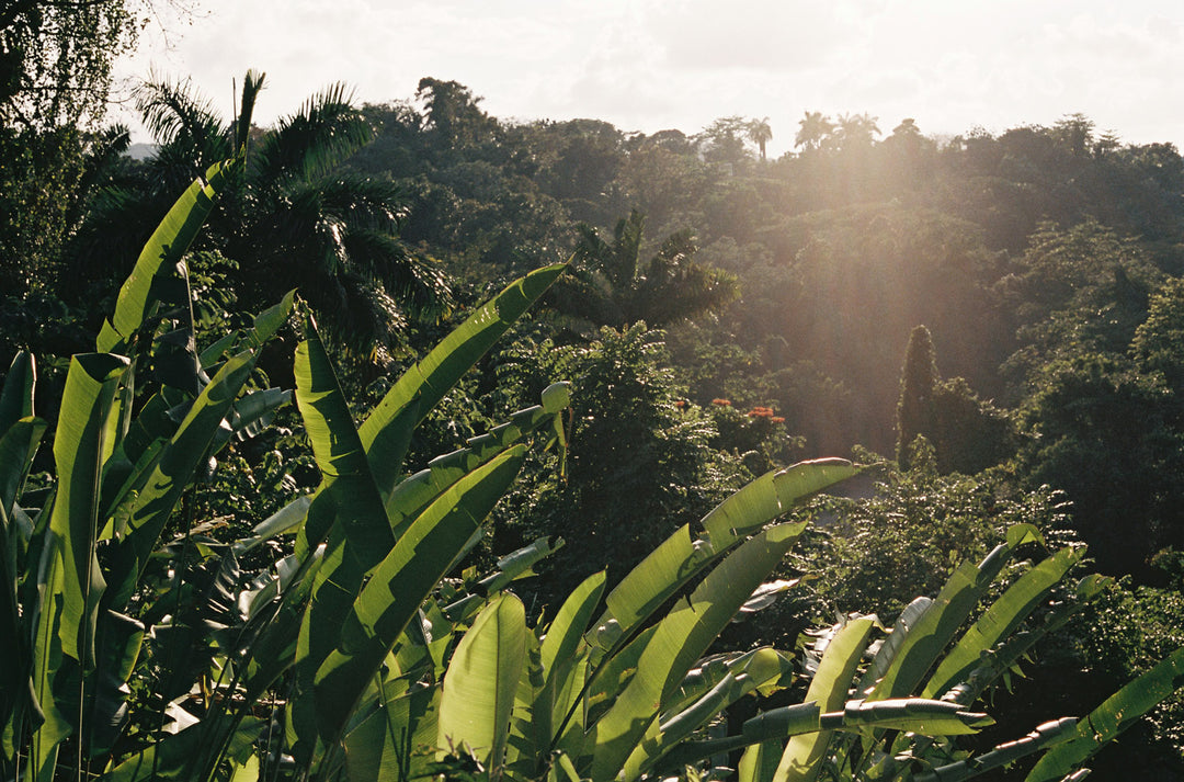 Sustainable Fashion Our Pact at Bikini Bible